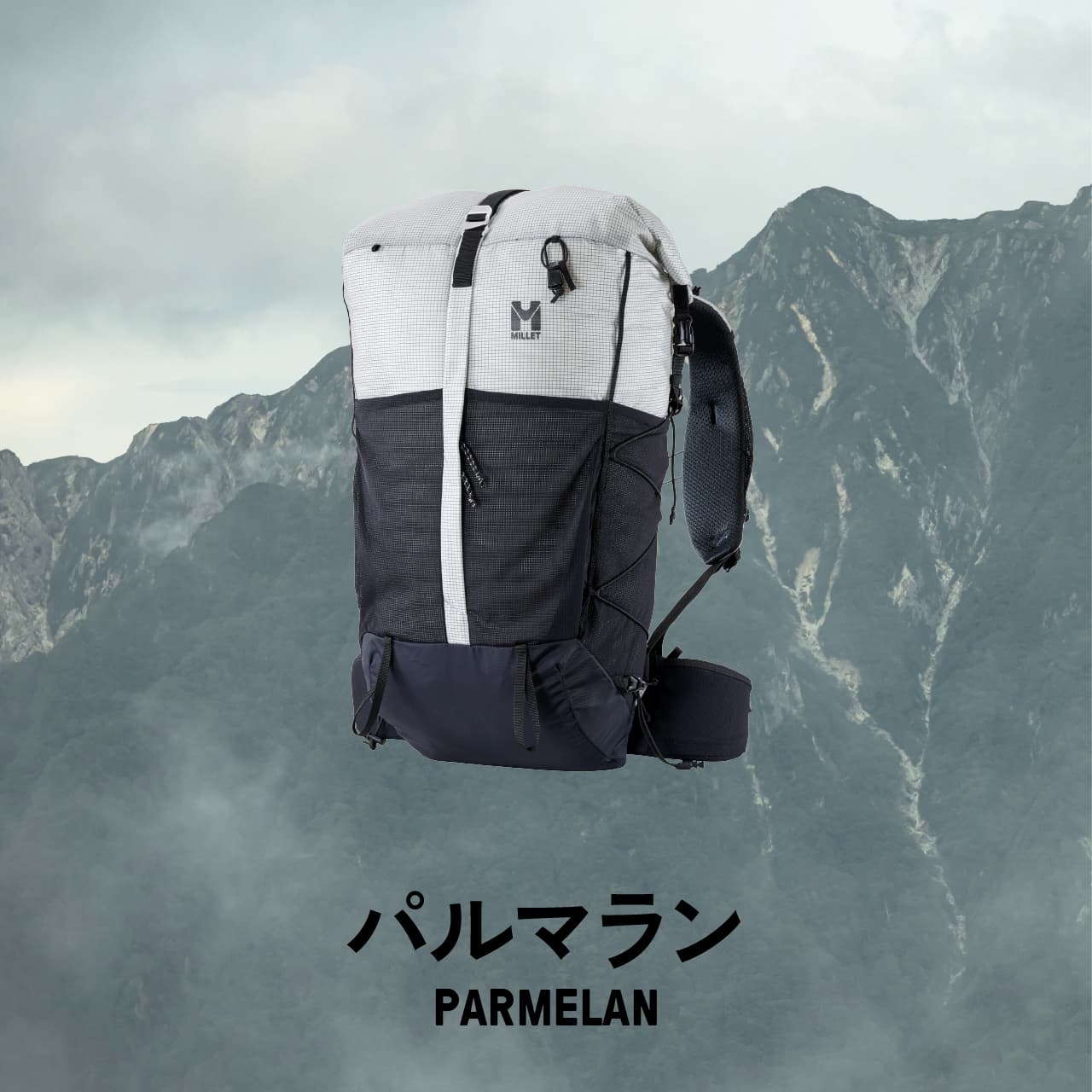 PARMELAN