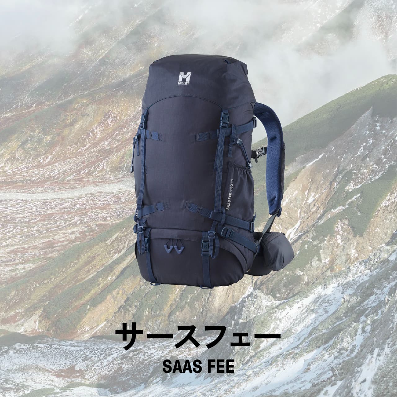 SAAS FEE