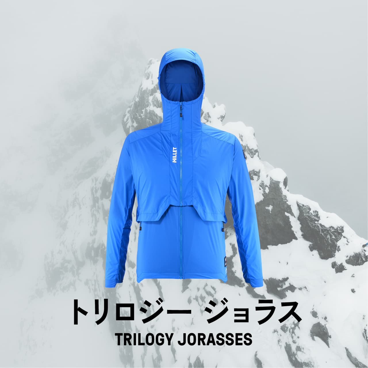 JORASSES