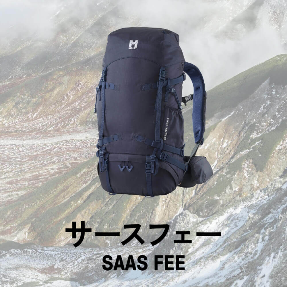 SAAS FEE