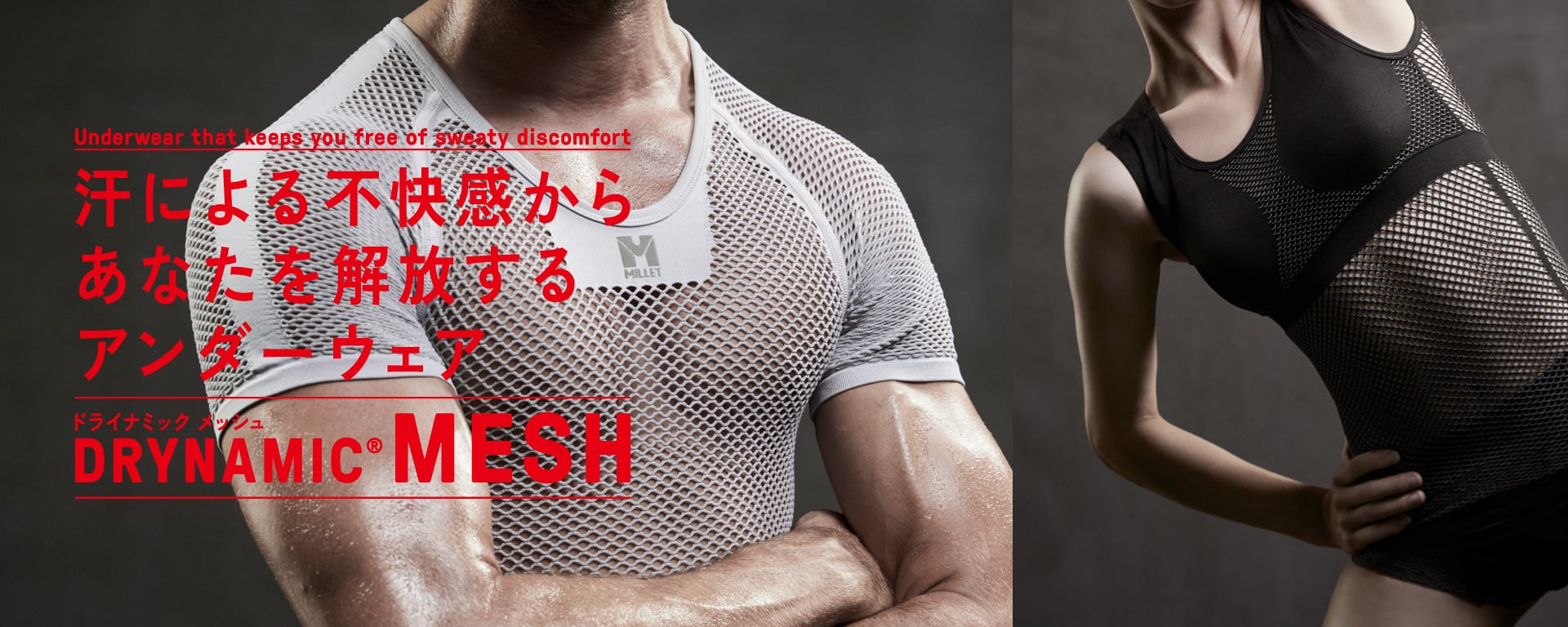 DRYNAMIC MESH