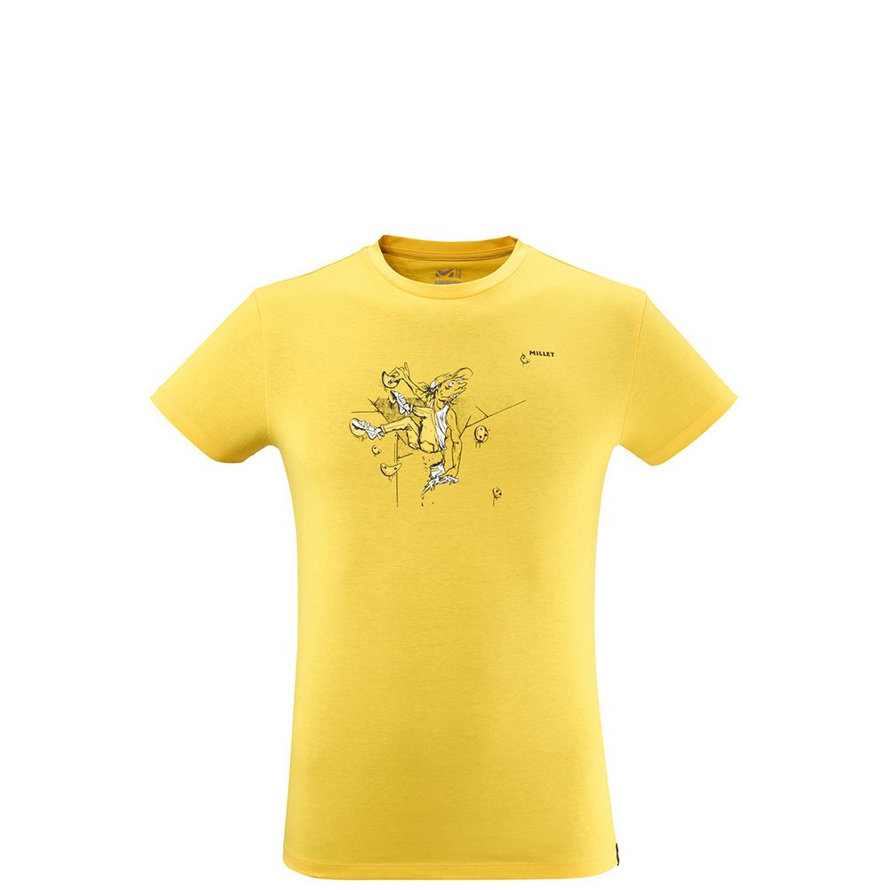 リミテッドカラーTシャツ ショートスリーブ