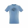 CORONET BLUE